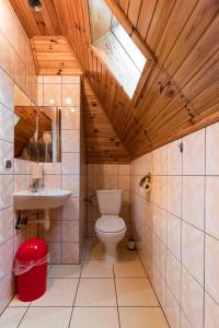La salle de bains est pourvue de toilettes et d'un lavabo. dans l'établissement Wypoczynek u Piotra, à Susiec