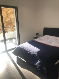 ein Schlafzimmer mit einem Bett und einem großen Fenster in der Unterkunft T3 moderne et spacieux à BASTIA in Bastia