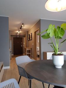Fotografia z galérie ubytovania Apartament Triventi 88 z Widokiem na Śnieżkę - 5D Apartamenty v destinácii Karpacz