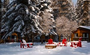 um grupo de cadeiras vermelhas na neve em frente a uma cabine em Castle Mountain Chalets em Castle Junction