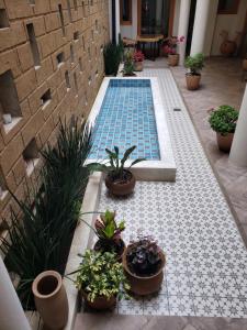 a swimming pool with potted plants in a courtyard at Casa Carmen in San Cristóbal de Las Casas