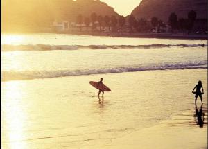 Příroda nedaleko apartmánu