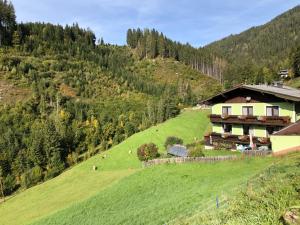 ein Haus an der Seite eines grünen Hügels in der Unterkunft Ferienwohnung Staltner in Schladming