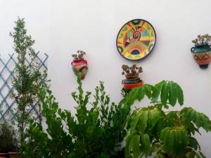 Zahrada ubytování Casa Rural Almécija