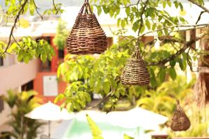a group of baskets hanging from a tree at Hotel Vista Verde in Huichihuayán