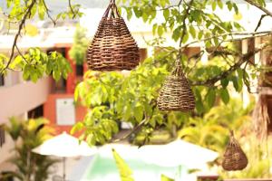 un groupe de paniers suspendus à un arbre dans l'établissement Hotel Vista Verde, à Huichihuayán