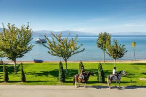 Gallery image of Risteski Apartments - St. Naum in Ohrid
