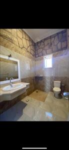 a bathroom with a sink and a toilet at Nile palace villa in Luxor