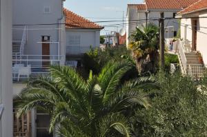 a palm tree in front of a building at Apartment Milka - 150 m from sea in Biograd na Moru