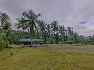 un grupo de palmeras en un campo con un edificio en Posada Don Aí, en El Valle