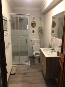 uma casa de banho com um chuveiro, um WC e um lavatório. em La Casa Verde B&B em Trivero
