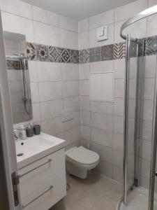 a bathroom with a toilet and a sink and a shower at Studio de charme, au calme dans le vieux Chaumont in Chaumont