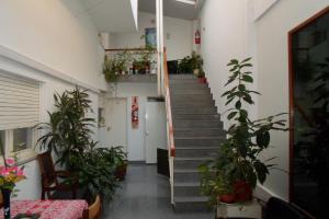 um corredor com escadas e vasos de plantas em Hotel San Carlos em Buenos Aires