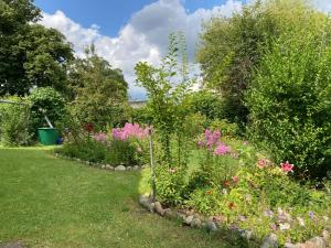un jardín con flores rosas y arbustos en Villa Kunterbunt: Urgemütlich und fast perfekt, en Hohen Wangelin