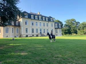 uma pessoa a montar um cavalo em frente a uma casa grande em Château de la Bouchatte chambre les Roses em Chazemais
