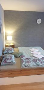 Katil atau katil-katil dalam bilik di Apartmán Železná Ruda
