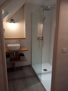 uma casa de banho com um lavatório e uma cabina de duche em vidro. em La Lanterne du Bout du Monde em Lampaul