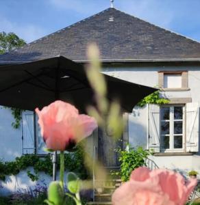 ein schwarzer Regenschirm vor einem Haus in der Unterkunft Chambre d'hôte équestre Au petit bonheur in Châteldon