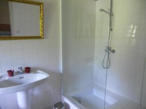 a shower with a glass door next to a sink and a tub at Château de la Moissetie in Aurillac +26 photos