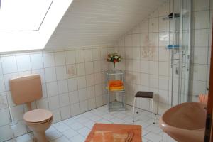 a bathroom with a toilet and a shower and a sink at Ferienwohnungen Meyer in Beilngries