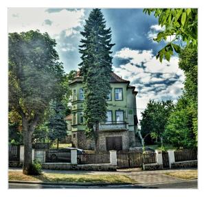 Zahrada ubytování Hotel Green House