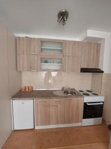 a kitchen with a sink and a stove and cabinets at Renome apartmani in Banja Koviljača