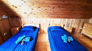 Gallery image of Wild Hog Guesthouse in Grūži +27 photos