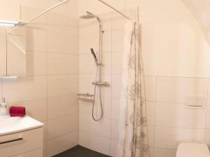 y baño con ducha, aseo y lavamanos. en Appartementhaus Angelika, en Lindau