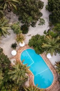 une vue aérienne d'une piscine avec des palmiers dans l'établissement Hakuna Majiwe Beach Lodge, à Paje