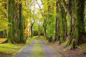 Gallery image of Park of Drumquhassle in Glasgow