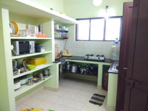 uma pequena cozinha com prateleiras verdes e um lavatório em Cherry Blossom em Pondicherry