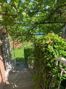 Vonkajšia záhrada v ubytovaní Amfiteatrico Sea View - Kalamos Attiki