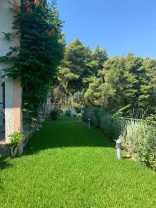 Vonkajšia záhrada v ubytovaní Amfiteatrico Sea View - Kalamos Attiki