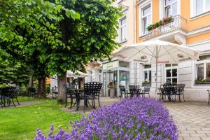 a group of tables and chairs and purple flowers at Hotel Lindenhof Bad Schandau in Bad Schandau