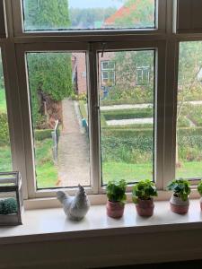 un rebord de fenêtre avec un poulet et des plantes en pot dans l'établissement Ruim appartement in oude bakkerij, à Gasselternijveen