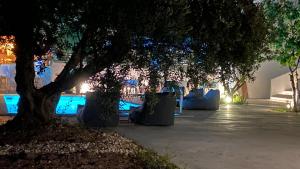 Vonkajšia záhrada v ubytovaní Rivière Residence Paros