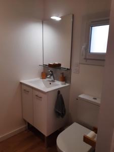 a bathroom with a sink and a toilet and a mirror at Un jardin en ville in Talence