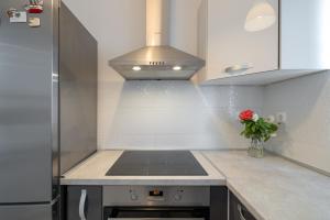 Kuchyň nebo kuchyňský kout v ubytování Apartmani Zaja