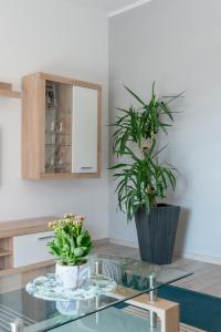 Fotografie z fotogalerie ubytování Apartmani Zaja v Trogiru