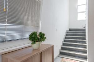 Fotografie z fotogalerie ubytování Apartmani Zaja v Trogiru