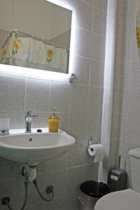 a bathroom with a sink and a mirror and a toilet at Ρήγας: Όμορφα στο Μεσολόγγι, Διαμέρισμα Β2 in Missolonghi