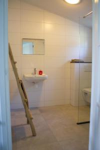 een badkamer met een wastafel en een toilet bij Huisje en B&B Green Cottage in Groesbeek