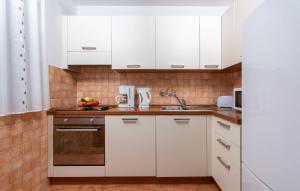 una cocina con armarios blancos y fregadero en Villa Leonie with Private Pool, en Nova Vas