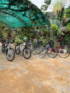 - un groupe de vélos garés l'un à côté de l'autre dans l'établissement Riverside, à Ban Cho Lae