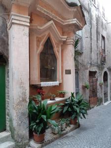 Montecelio的住宿－Guidonia Montecelio，窗户前有盆栽植物的建筑