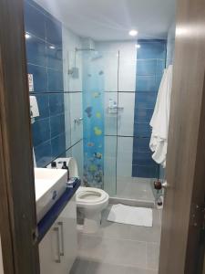 a bathroom with a sink and a toilet and a shower at San Andrés de Ensueño in San Andrés