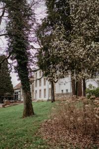 Zahrada ubytování Hotel Hofgut Imsbach Lapointe