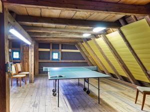 Πινγκ πονγκ στο Ferienhaus Herm ή εκεί κοντά