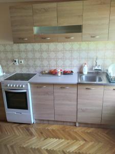 Kuchyň nebo kuchyňský kout v ubytování HOSTEL BATA APARTMANI