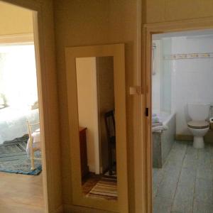a bathroom with a toilet and a mirror at Homestay Arrabella in Availles-Limouzine